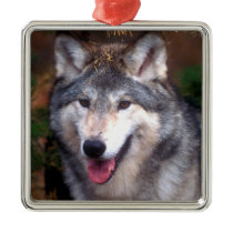 Portrait of a gray wolf metal ornament