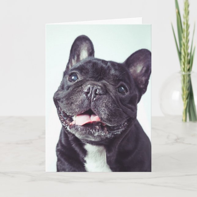 Portrait of a Happy French Bulldog Card (Front)