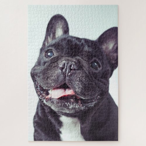 Portrait of a Happy French Bulldog Jigsaw Puzzle