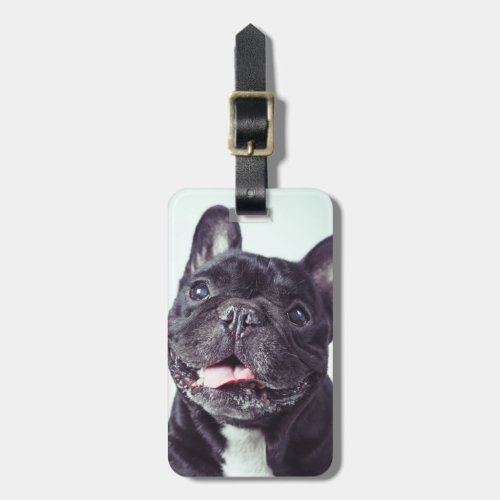 Portrait of a Happy French Bulldog Luggage Tag