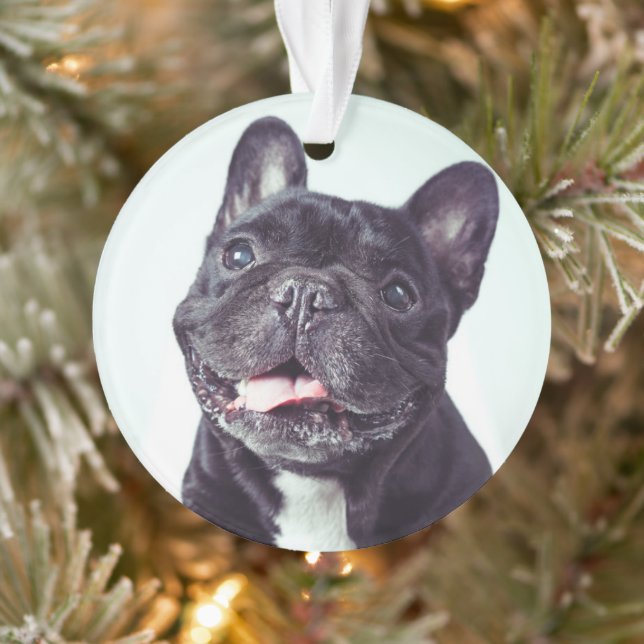 Portrait of a Happy French Bulldog Ornament (Tree)