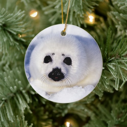 Portrait of a Harp Seal Pup Ceramic Ornament