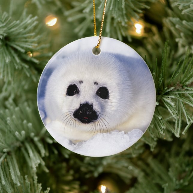 Portrait of a Harp Seal Pup Ceramic Ornament (Tree)