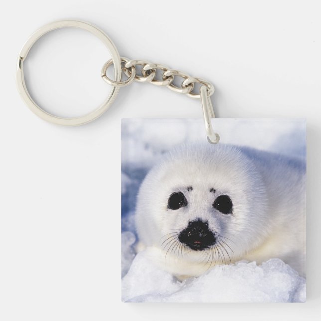 Portrait of a Harp Seal Pup Keychain (Front)