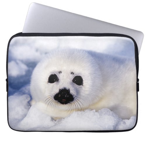 Portrait of a Harp Seal Pup Laptop Sleeve