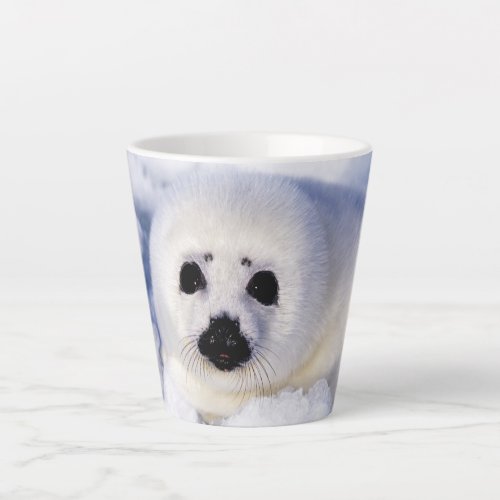 Portrait of a Harp Seal Pup Latte Mug