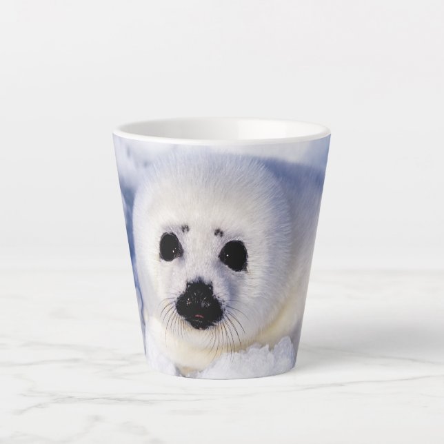Portrait of a Harp Seal Pup Latte Mug (Front)