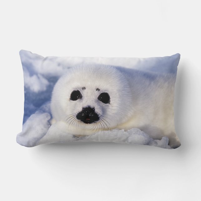 Portrait of a Harp Seal Pup Lumbar Pillow (Front)