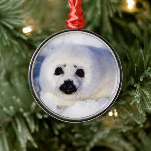 Portrait of a Harp Seal Pup Metal Ornament