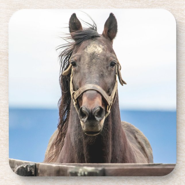 Portrait of a horse coaster (Front)
