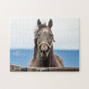 Portrait of a horse jigsaw puzzle