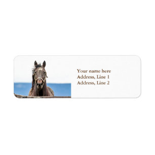 Portrait of a horse label