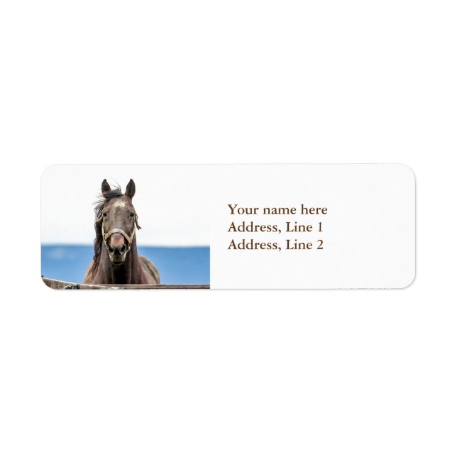 Portrait of a horse label (Front)