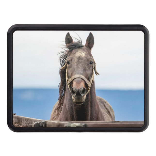Portrait of a horse tow hitch cover (Front)