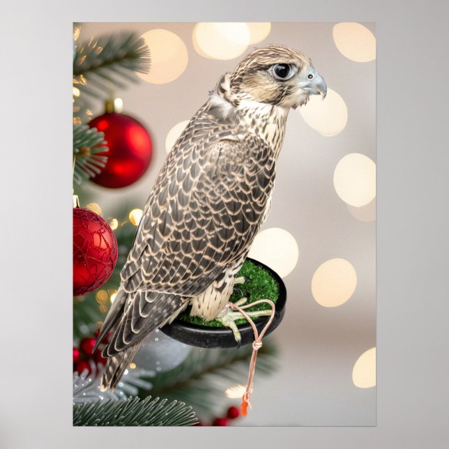 Portrait Of A Hunting Falcon Real Photo Poster (Front)