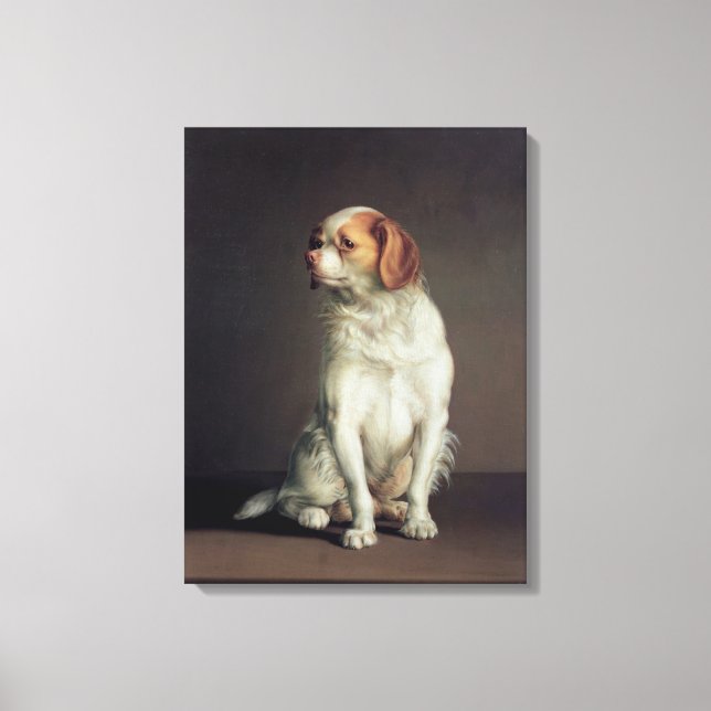 Portrait of a King Charles Spaniel Canvas Print (Front)