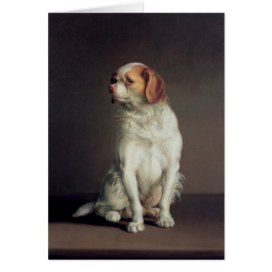 Portrait of a King Charles Spaniel Cards (Front)
