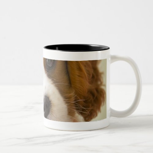 Portrait of a King Charles Spaniel puppy Two_Tone Coffee Mug