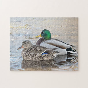 Portrait of a male and female mallard jigsaw puzzle