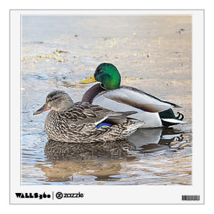 Portrait of a male and female mallard wall decal