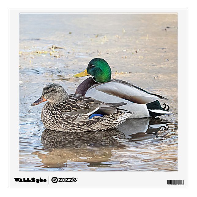 Portrait of a male and female mallard wall decal (Front)