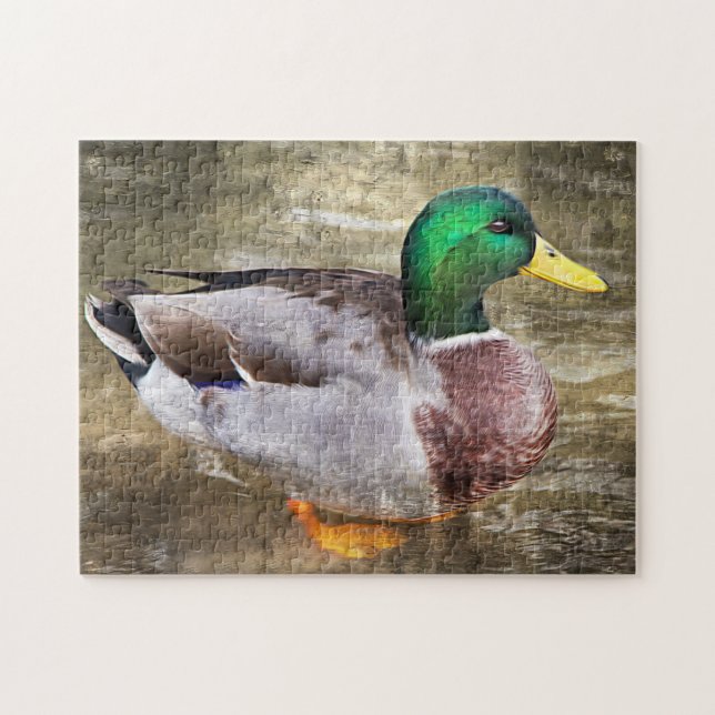 Portrait of a male mallard jigsaw puzzle (Horizontal)
