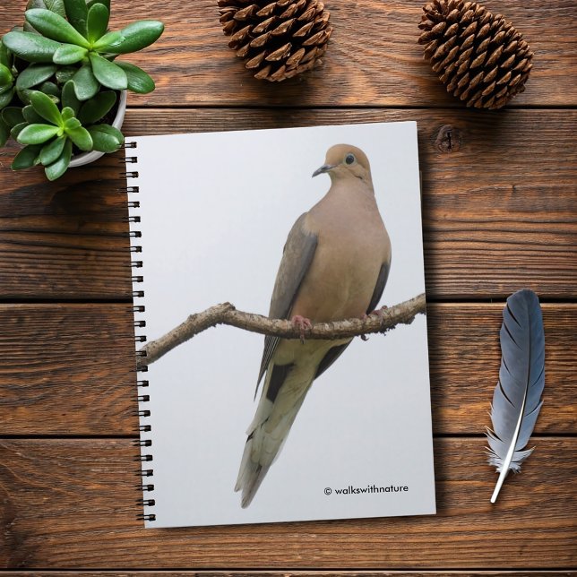 Portrait of a Mourning Dove Notebook (Portrait of a Mourning Dove Journal Cover Photo)