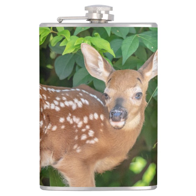 Portrait of a Newborn Fawn (white-tailed deer) Flask (Front)