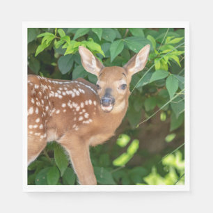 Portrait of a Newborn Fawn (white-tailed deer) Napkins