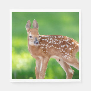 Portrait of a Newborn Fawn (white-tailed deer) Napkins