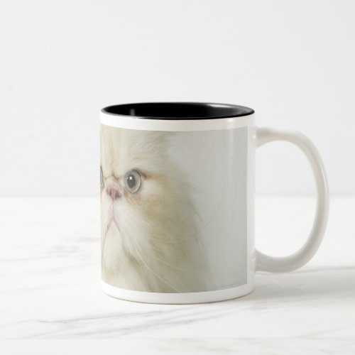 Portrait of a Persian cat Two_Tone Coffee Mug