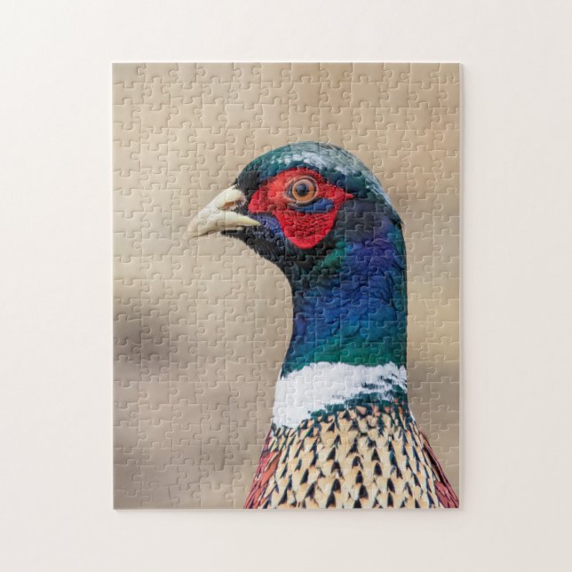 Portrait of a pheasant jigsaw puzzle (Vertical)