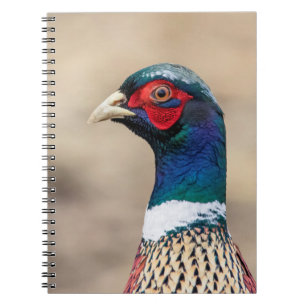 Portrait of a pheasant notebook