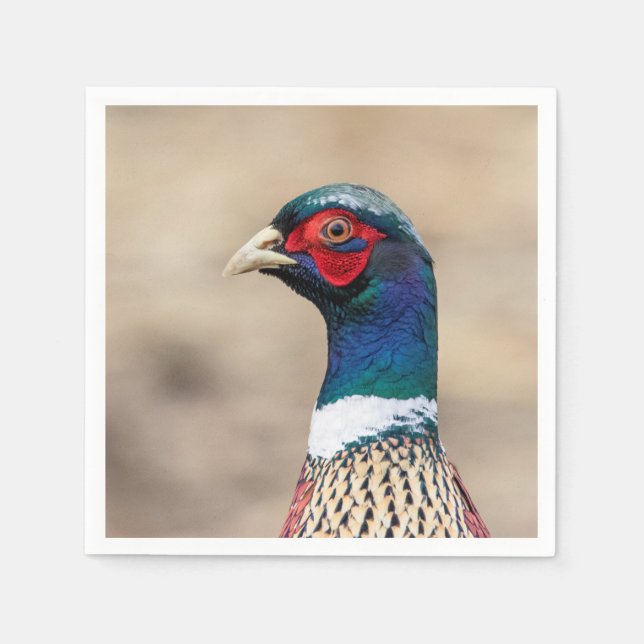 Portrait of a pheasant paper napkins (Front)