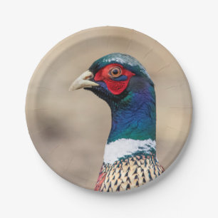 Portrait of a pheasant paper plates