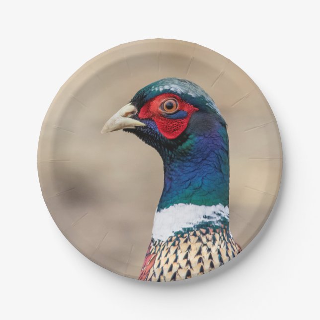 Portrait of a pheasant paper plates (Front)