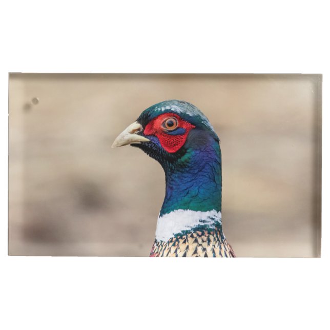 Portrait of a pheasant place card holder (Front)