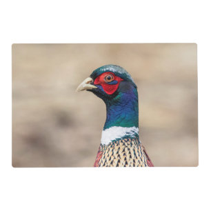 Portrait of a pheasant placemat