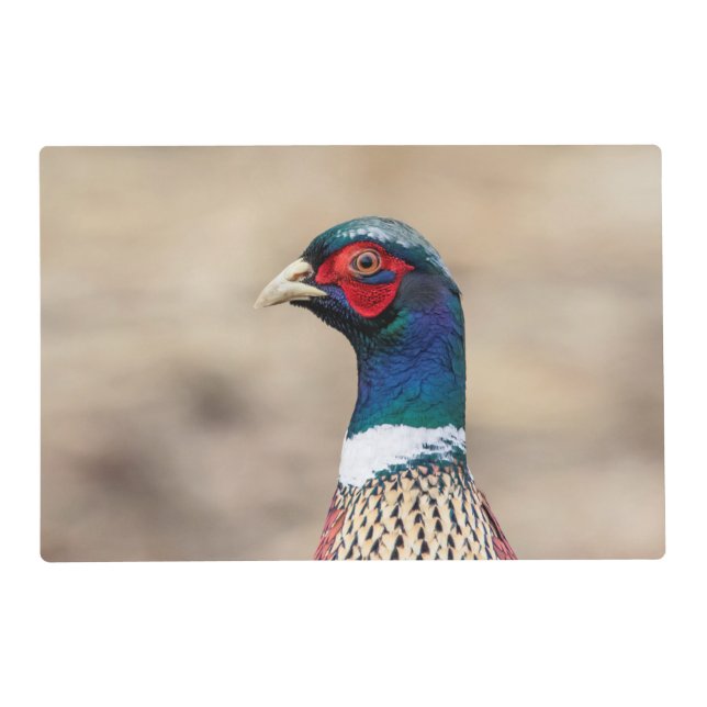 Portrait of a pheasant placemat (Front)