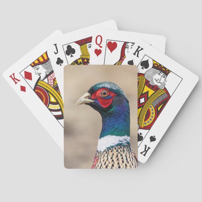 Portrait of a pheasant poker cards (Back)