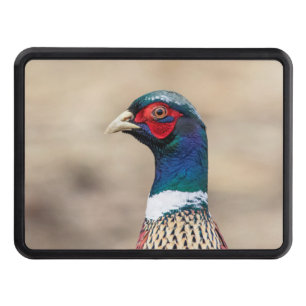 Portrait of a pheasant trailer hitch cover