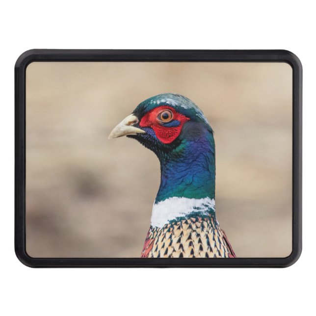 Portrait of a pheasant trailer hitch cover (Front)
