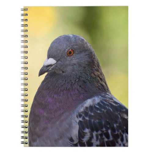 Portrait Of A Pigeon  Notebook