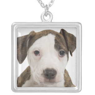 Portrait of a pitbull puppy silver plated necklace