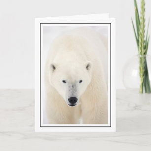 Portrait of a Polar Bear Holiday Card