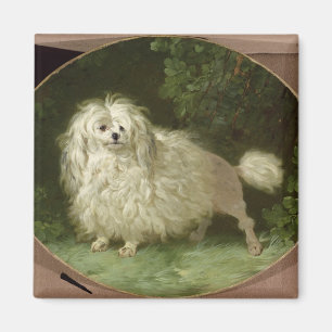 Portrait of a Poodle Magnet
