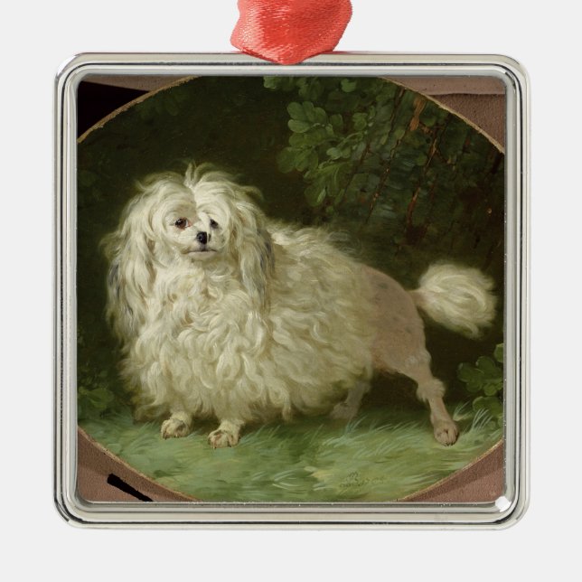 Portrait of a Poodle Metal Ornament (Front)