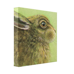 Portrait of a rabbit grazing boxed canvas print
