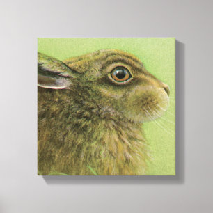 Portrait of a rabbit grazing boxed canvas print