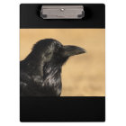 Portrait of a Raven